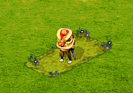chinshopfeb2016lionhead.gif