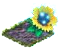 springcleanmar2016arcanesunflower.png