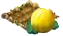 wwaterdaymar2016honeydewmelon.png