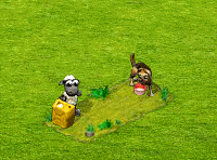 6.gif