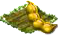 mendel2016yellowpea.png