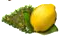 parentdayjun2016organiclemon.png