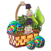 soccerjun2016basket2bigKIWSF.png