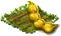 mendel2016yellowpeażołty_groszekY9w1A.png