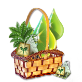 gbquestjun2016basket1big.png