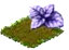 picnicquestaug2016opalbasil.png