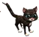 defaultfeline.png