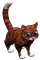 tabbyFeline.png