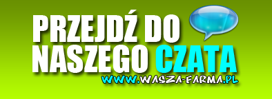 Nasz Czat Zapraszamy