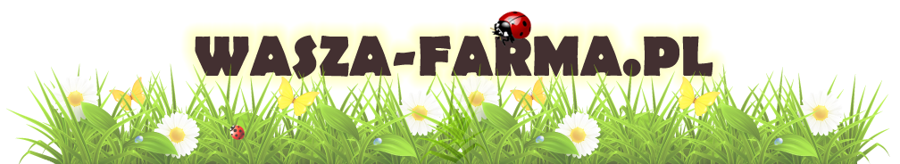 Wortal informacyjny o grze farmerama.pl